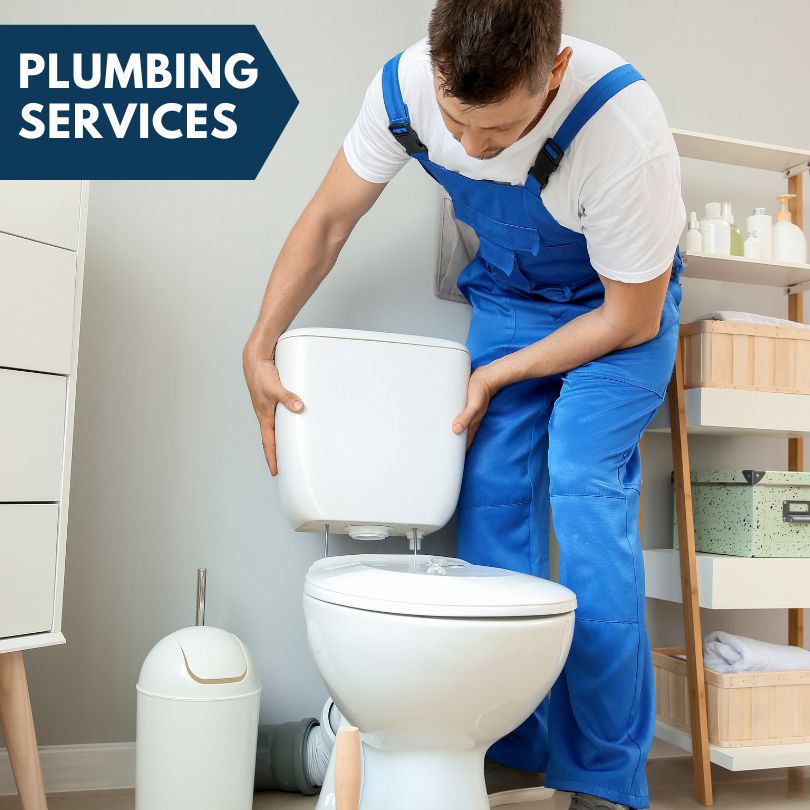 Plumbing Company in Pine Grove, LA